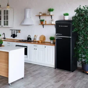 Galanz Retro Fridge Full-Size Features and Specifications