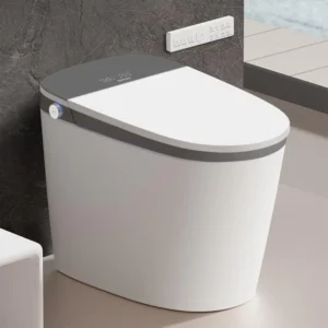 EPLO Smart Toilets feautures