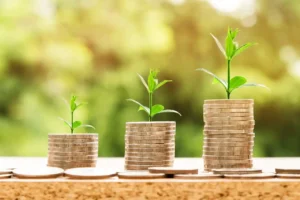 Implementing Family Budget Management