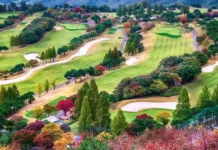 A scenic wide-angle shot of a pristine golf course during golden hour