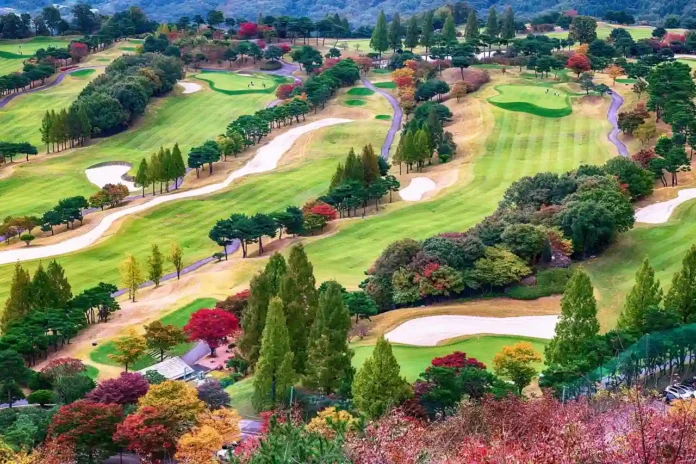 A scenic wide-angle shot of a pristine golf course during golden hour