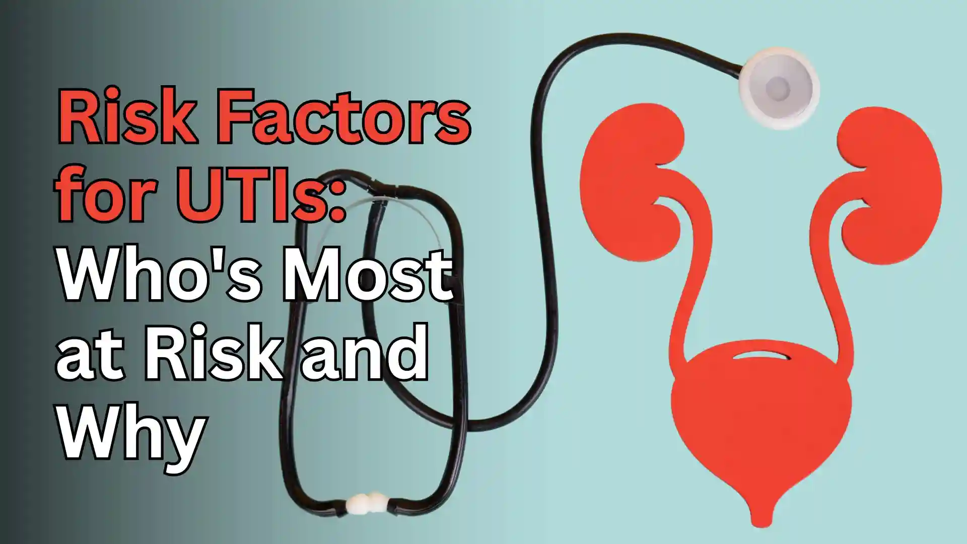 Medical illustration Risk Factors for UTIs