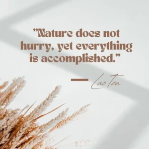 Lao Tzu Slow Living Quotes