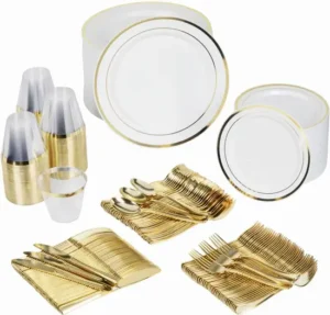 Party Dinnerware Set