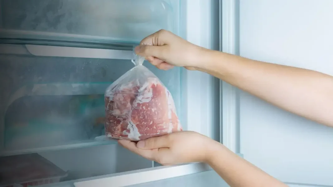A modern compact fridge freezer in a cozy studio apartment