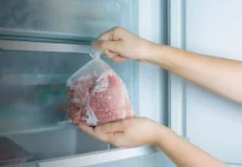 A modern compact fridge freezer in a cozy studio apartment