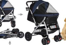 HPZ Pet Stroller: Top Models, Features & Buying Guide A sleek pet strollers on a park trail