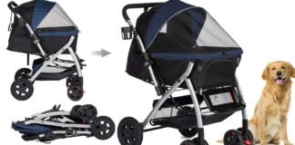 A sleek pet strollers on a park trail