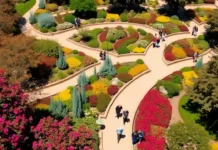 San Luis Obispo Botanical Garden | Nature, Trails & Blooms A vibrant aerial view of San Luis Obispo Botanical Garden showcasing winding trails