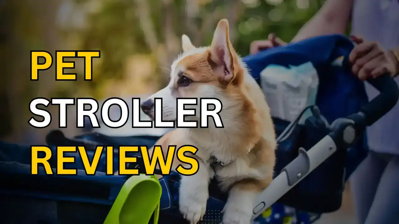 Detailed Pet Stroller Reviews Detailed Pet Stroller Reviews