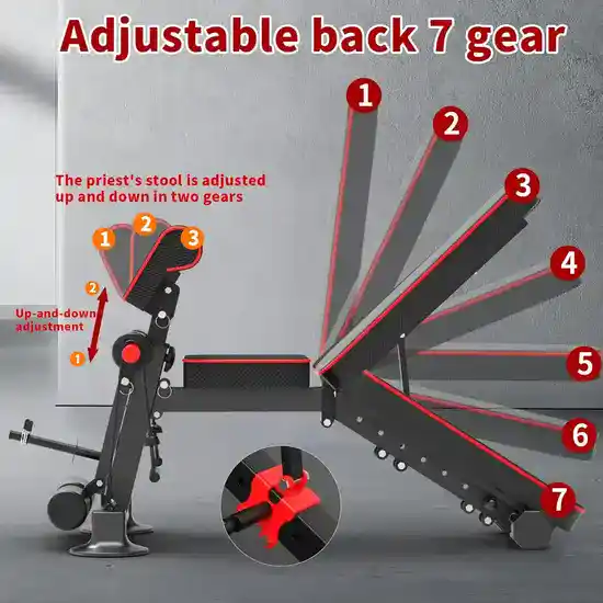 Adjustable Lower Back Workout Gym Machines
