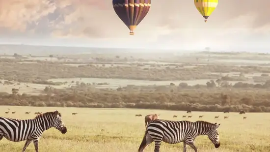 African Safari